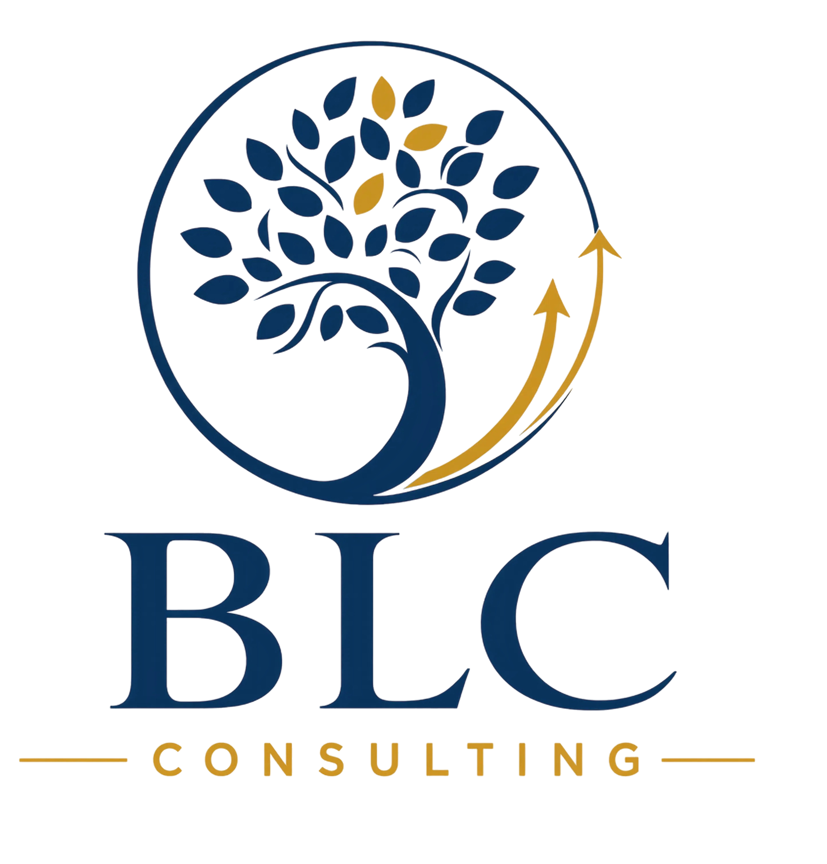 BLC Consulting