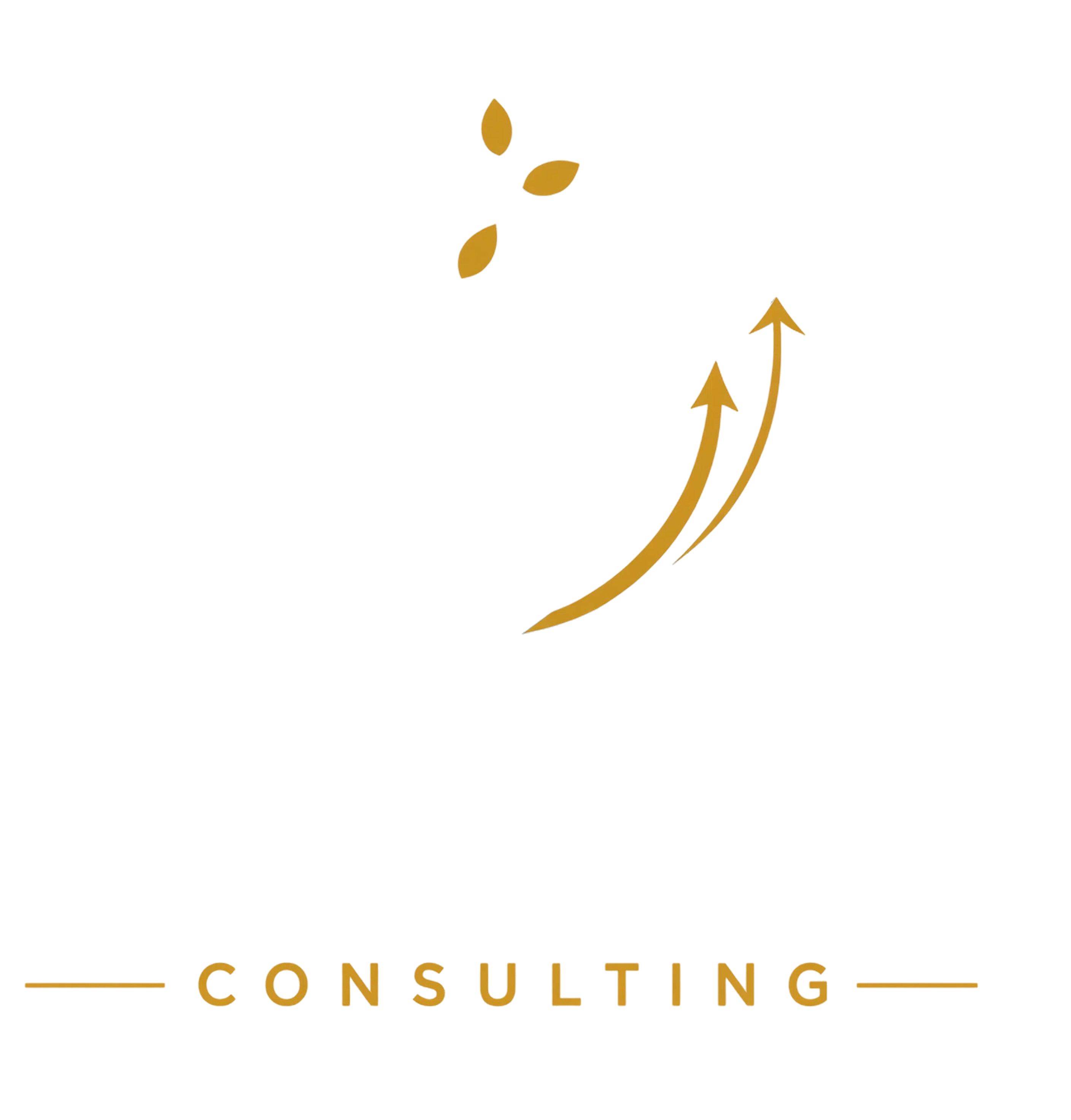 BLC Consulting
